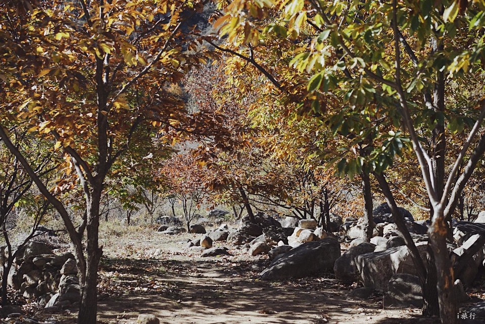 mmexport1603549496407