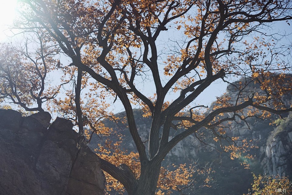 mmexport1603549494245