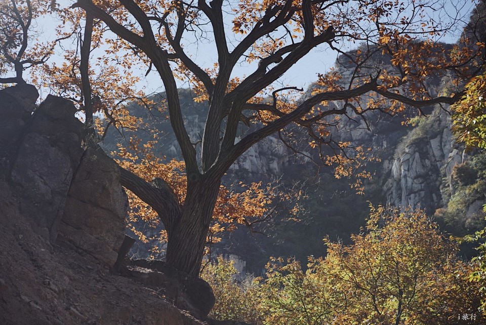 mmexport1603549498513