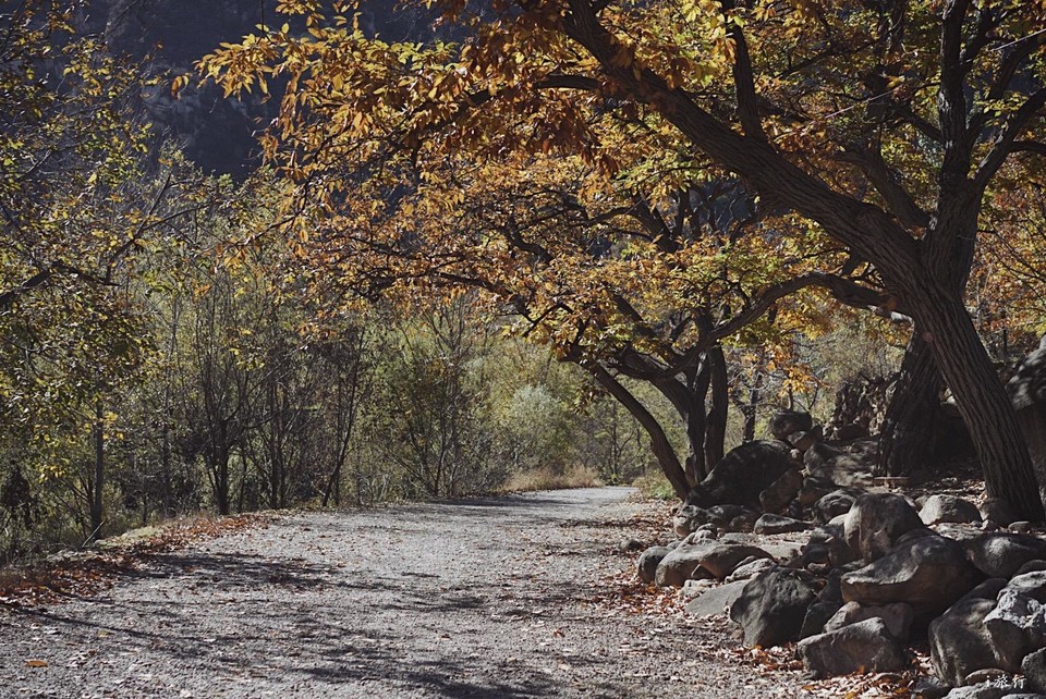 mmexport1603549538901