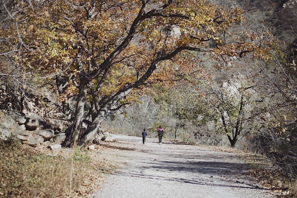 mmexport1603549536383