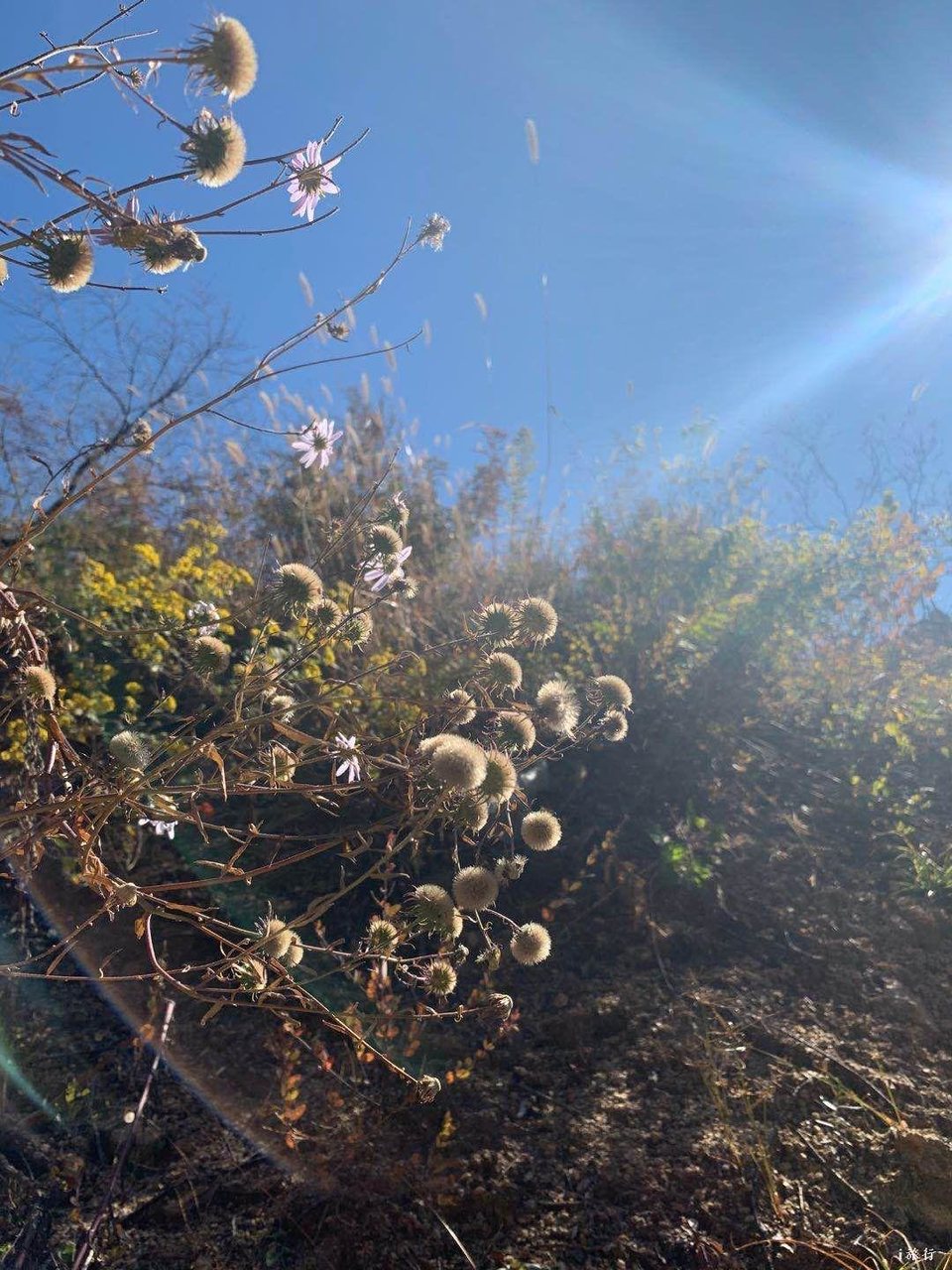 mmexport1603549632147