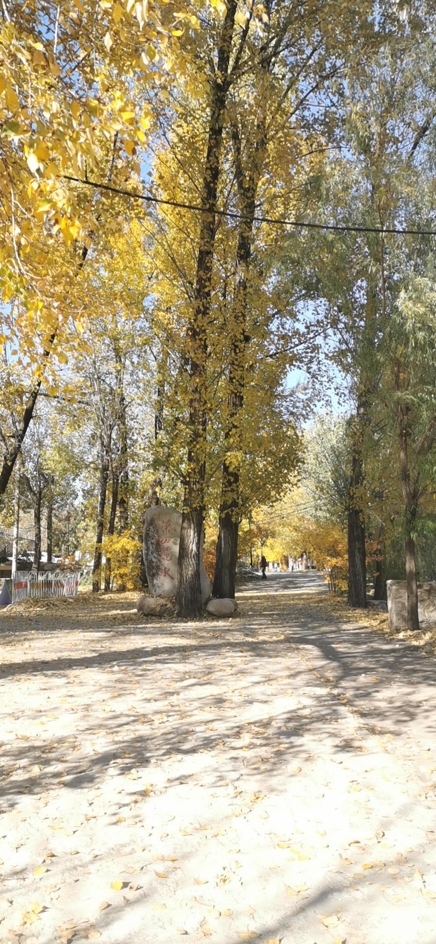 wx_camera_1603518624214