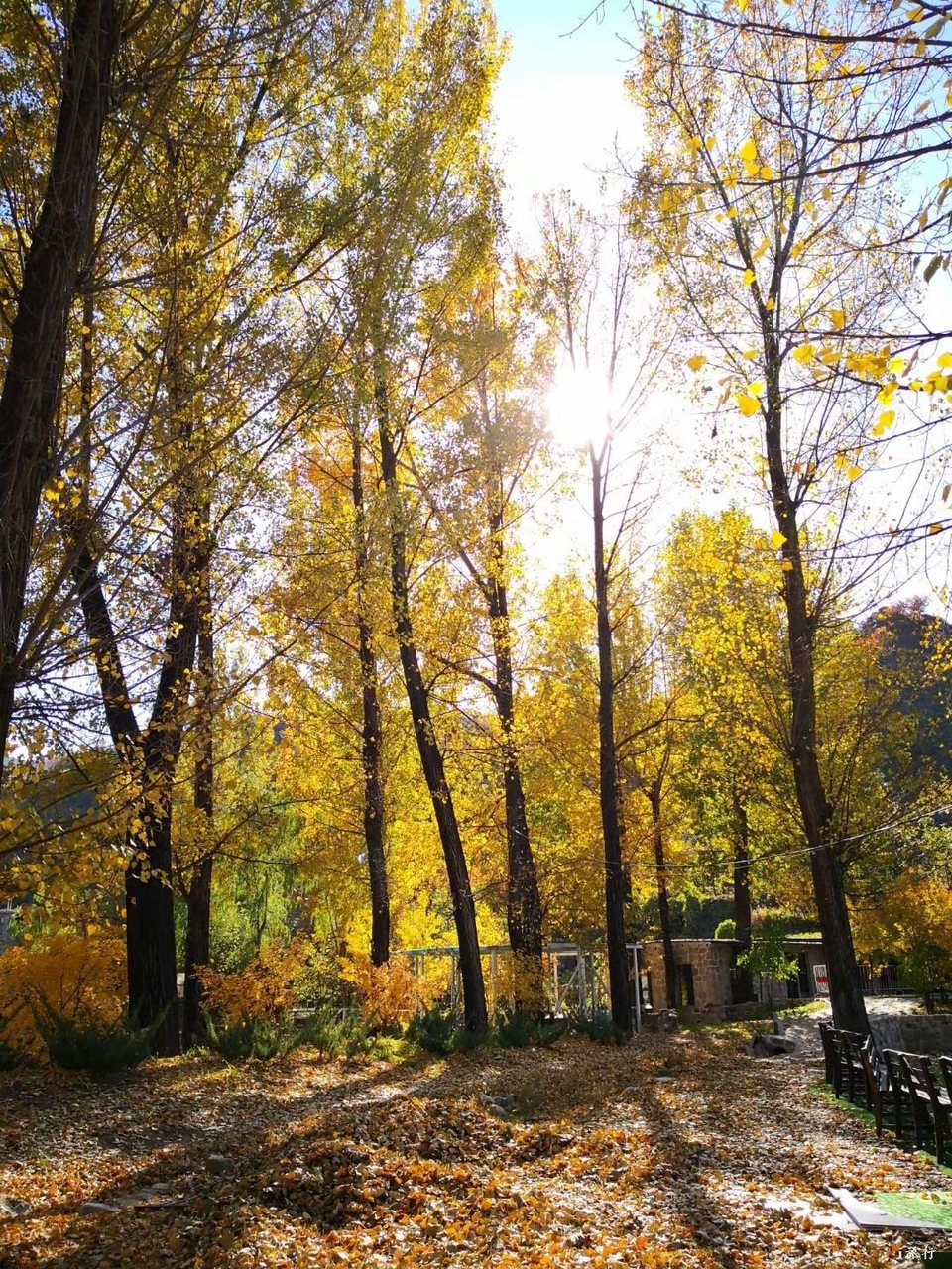 mmexport1603551881873