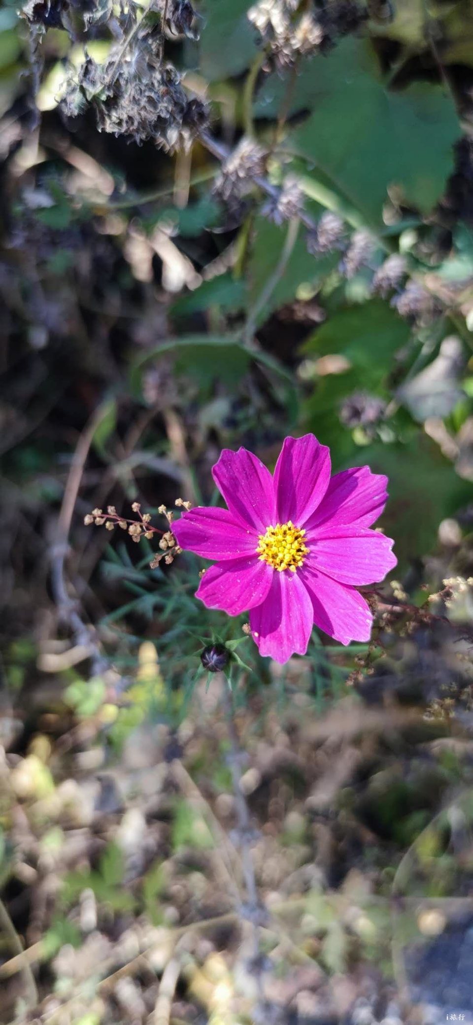 mmexport1603549592145