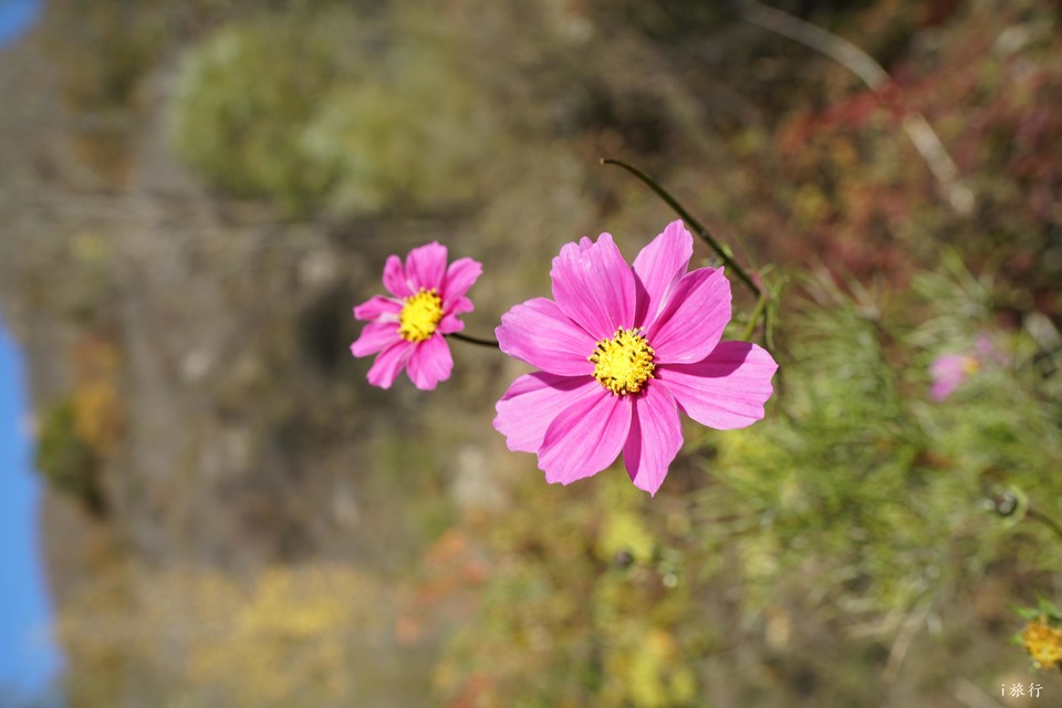 mmexport1603549588825