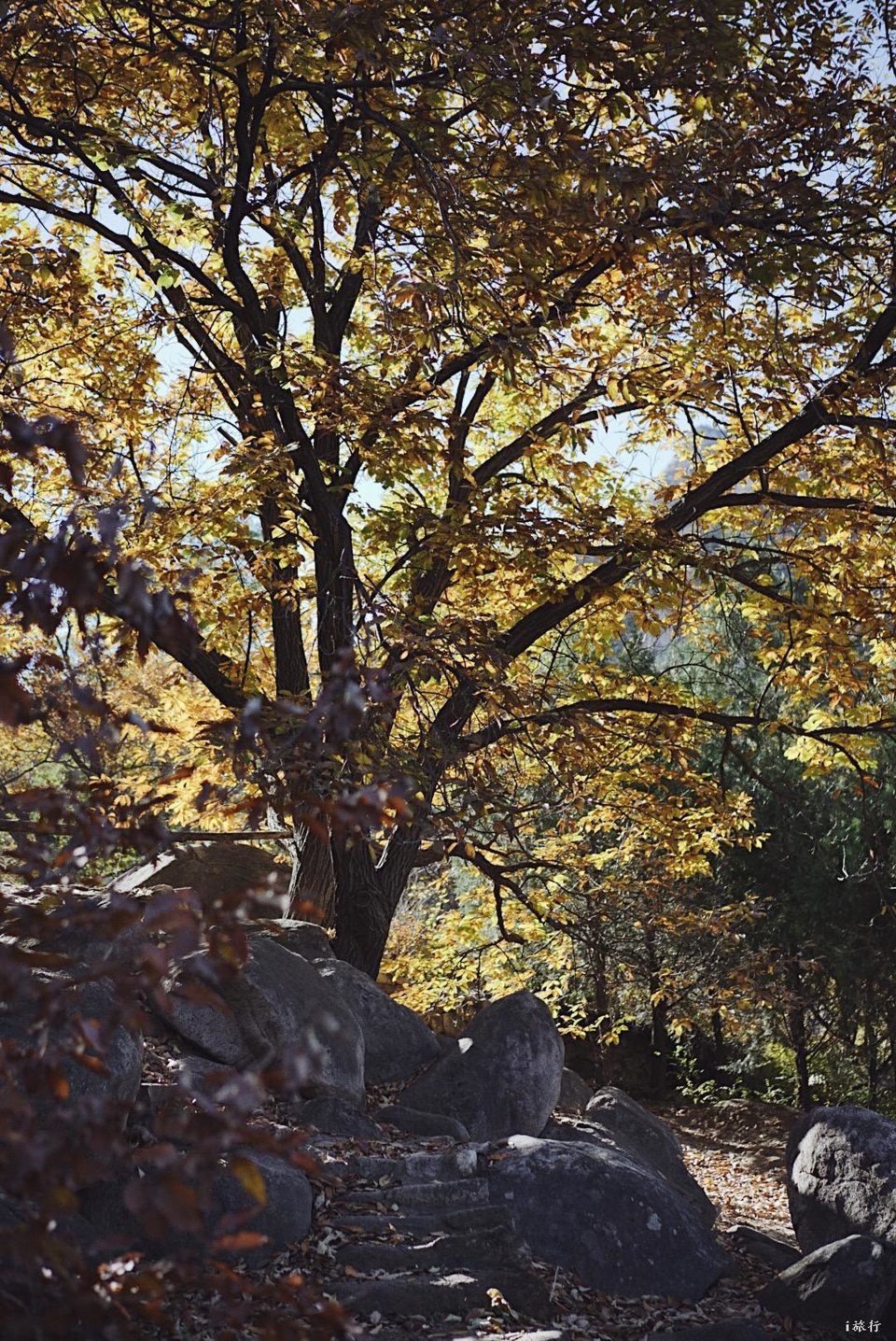 mmexport1603549472818