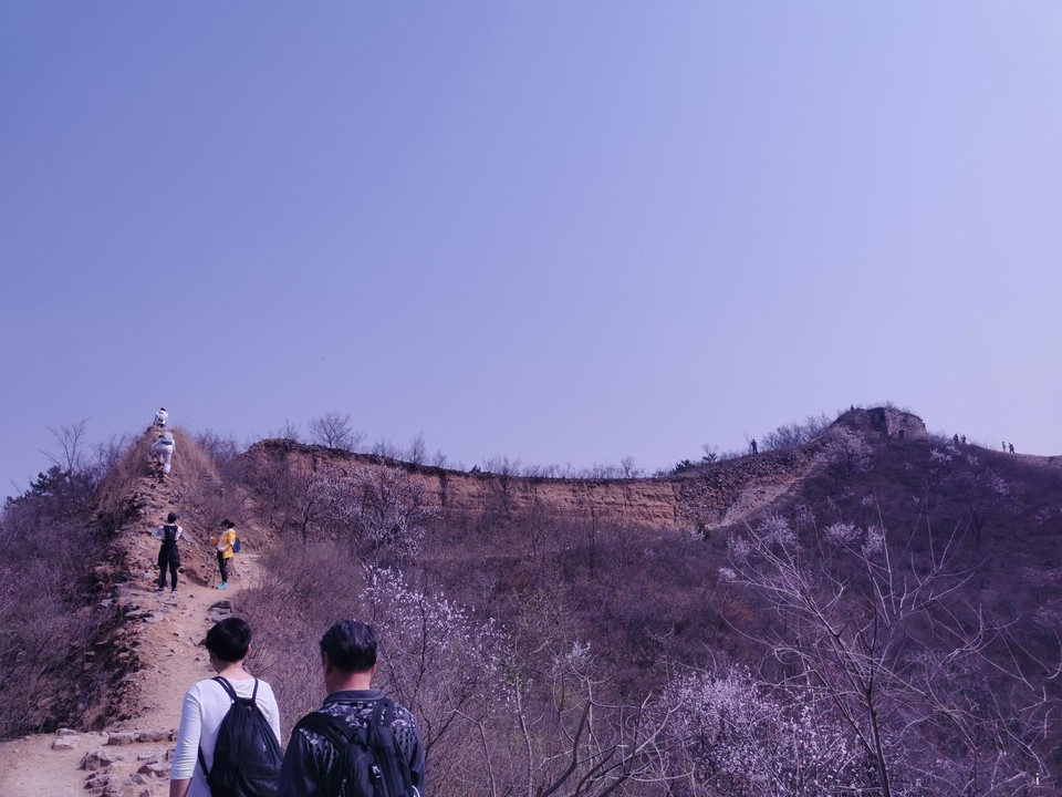 59NA-AtYAV_0DAS-vJebblRYxU0BcoU8XfAwgneEg1GwO73UnAQBPpZp1M2miku1