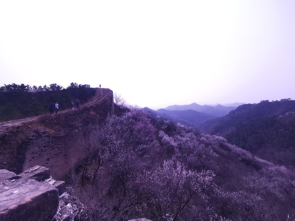 59NA-AtYAV_0DAS-vJebbpOu5Q5qEaOes2uIyGGazFaPbk1z6BTy0kbJunnz2gMo