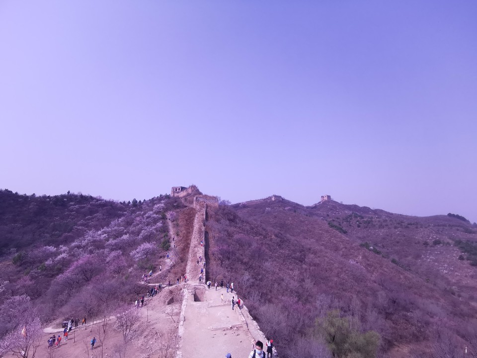 59NA-AtYAV_0DAS-vJebboq80qDvCGqNWu_XXgu9WxcInmjRm3QR7GKHyGcIFJJE