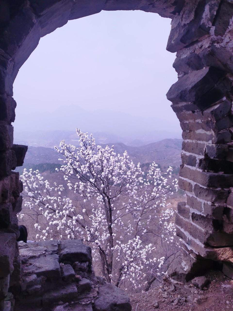 59NA-AtYAV_0DAS-vJebbtftgKWbdcGgbduXjbPr6IVp9gab5mFa4uZmYKIDm9kM