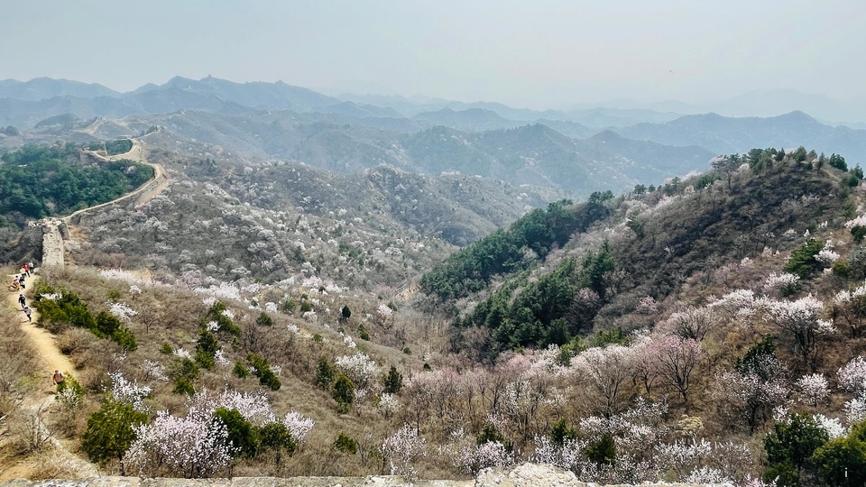 59NA-AtYAV_0DAS-vJebbqsWQHjcp64VMH1LAytwyg6S6jnr2dN3LO7WrGMWXx3l