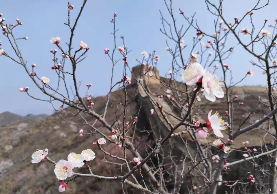 f9jRq6I0yMhp2HRZ2Aj5CljTsx2cirXjQf3AXHeOzIeZOtPUo8MkzIbAzpAI5La3