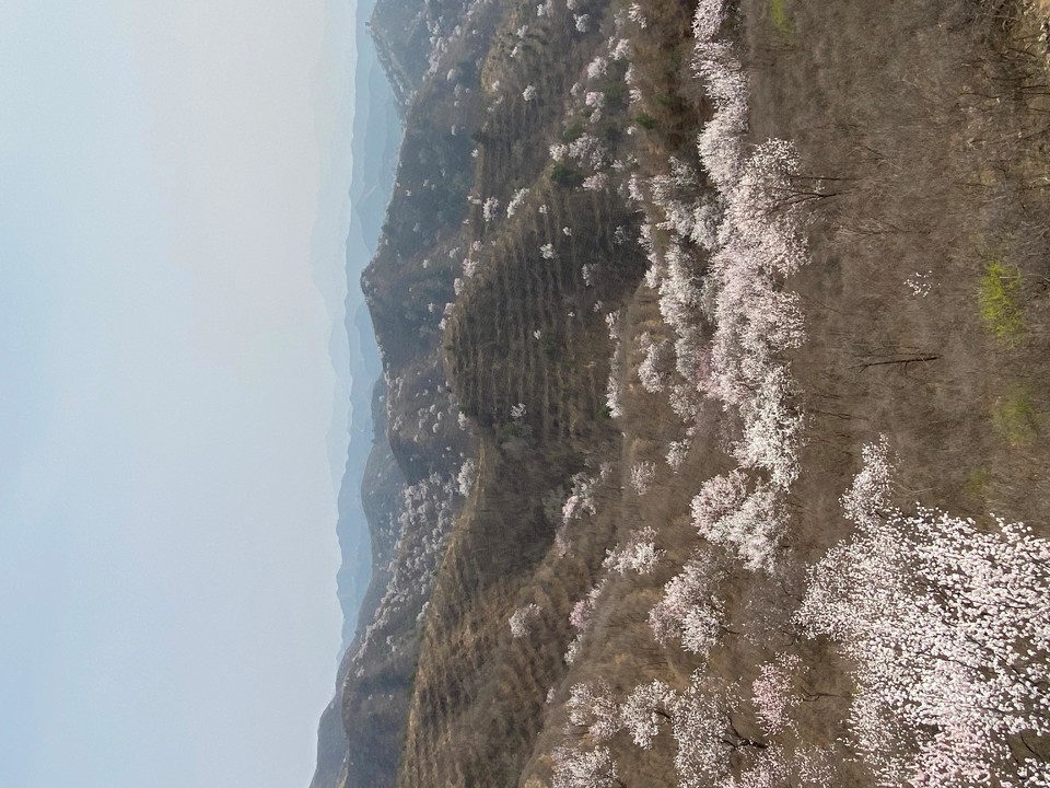 f9jRq6I0yMhp2HRZ2Aj5Cr6Ce_YAYVJzH37PLzG-cvbxEAhEGgFjpMpTxGQNhK-F