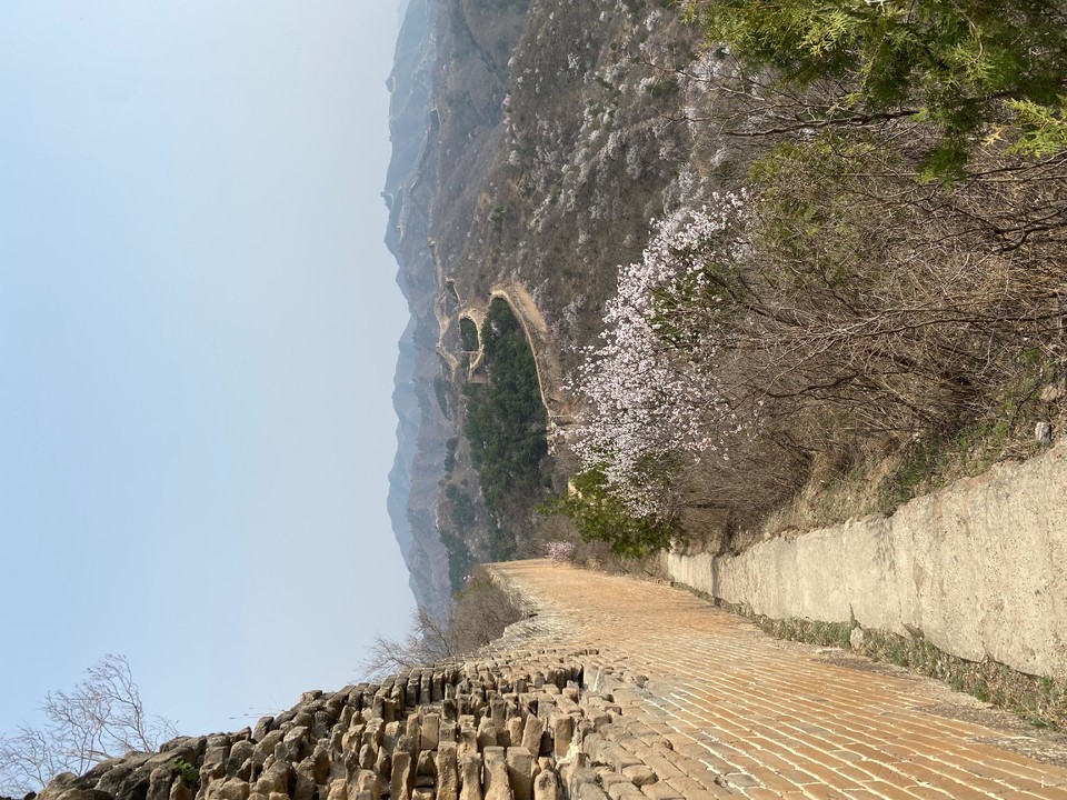 f9jRq6I0yMhp2HRZ2Aj5CuDEsVDiLA4q-4GQZrmqNX67U-xnni76iHQQCHjSR4YT