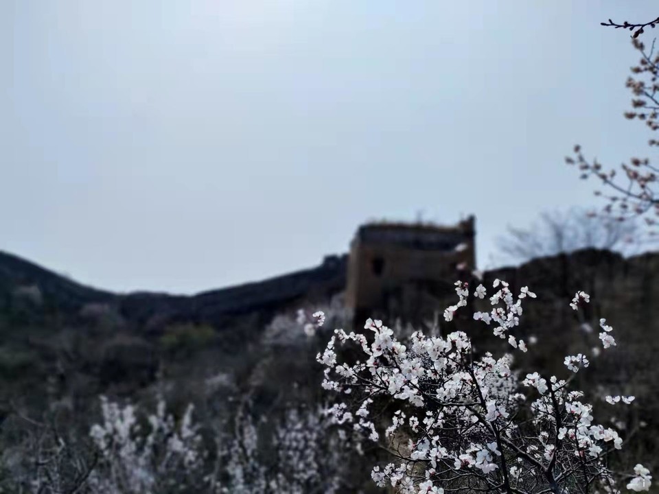 rZJkri_s2NW9Th6zVgXVawrwCDnBX77gwWMKg6N9XMFAKB-p7PHqFG46YdcQMJ8M