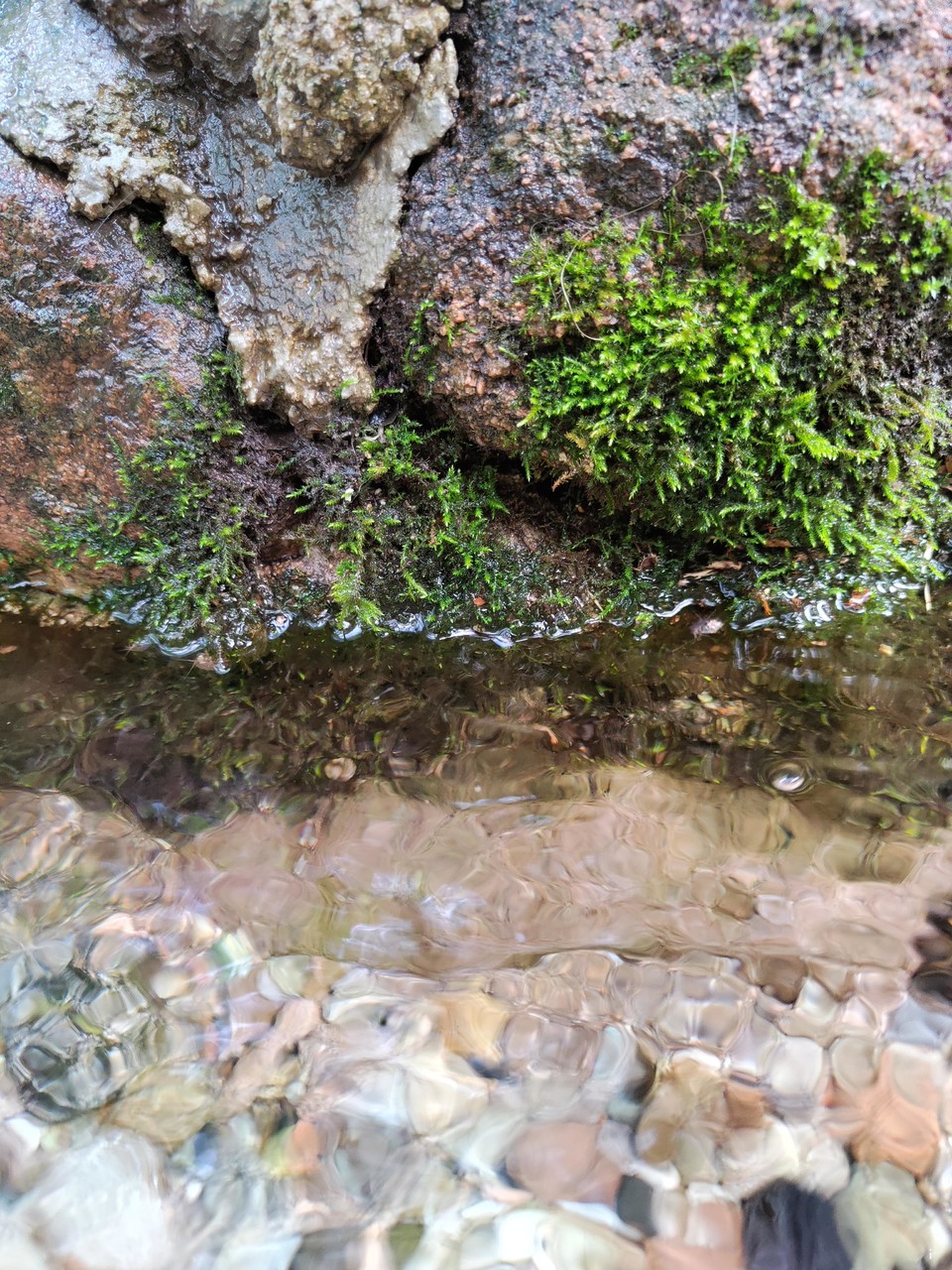 ThxzrwrI9Ew16FcT1ApARYc13HUZQHO_lItWTPueb4Y-In3FlIBwwHy2QEOBF1dC