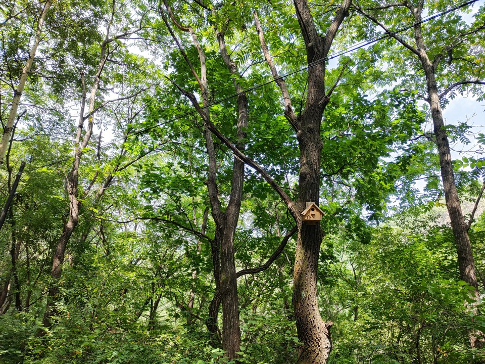 ThxzrwrI9Ew16FcT1ApARS0sP9Mfk7lIwwgjDu7iAQ3D6C2nH59WXK37thY3F30-