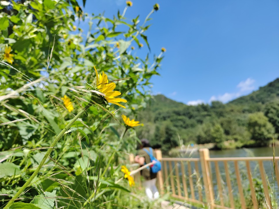 ThxzrwrI9Ew16FcT1ApARfBRTUG2pmMX7Zdq9Poq-bRThc91NLjetZP_UUQ_DFJp