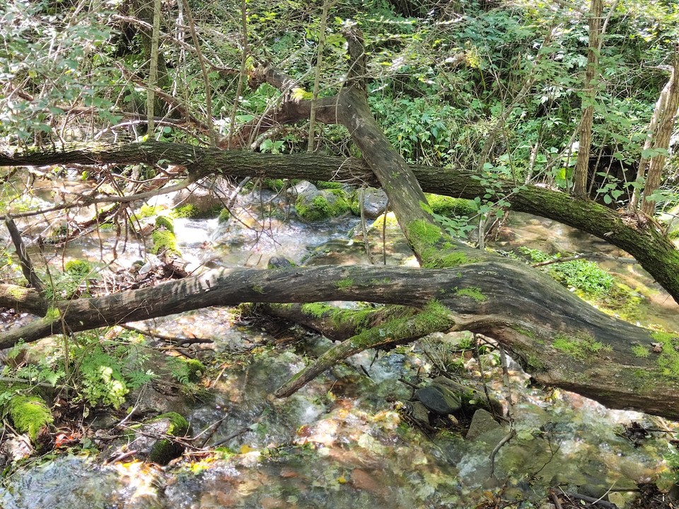 ThxzrwrI9Ew16FcT1ApARSdFkKSU7SWK86XBKd_PDAuvO3AvyGn_yvsHKH2jOk8k