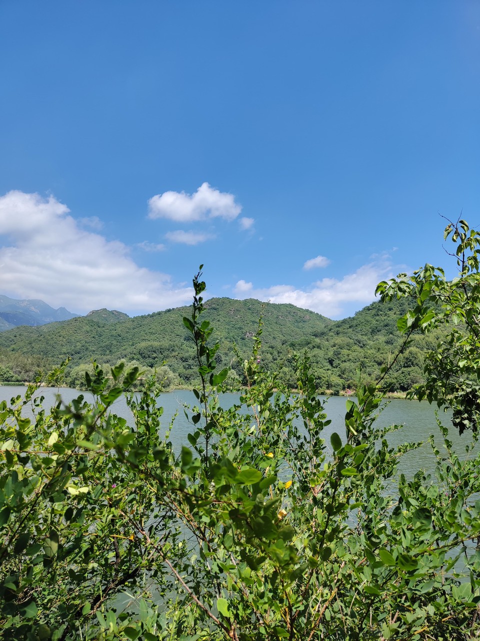 ThxzrwrI9Ew16FcT1ApARShgSFJSQrYgrc967MtEqQqADJ3bs0V2CHhHtWI4zyCY