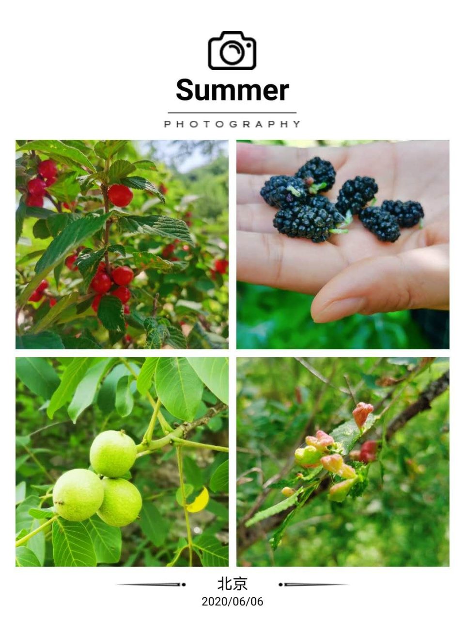 86pB_Q9Wz26T7pUUh8jn-F4189UXojMWpxHYH4poFmf2uMmZx8NbZAjIOz5CAYri