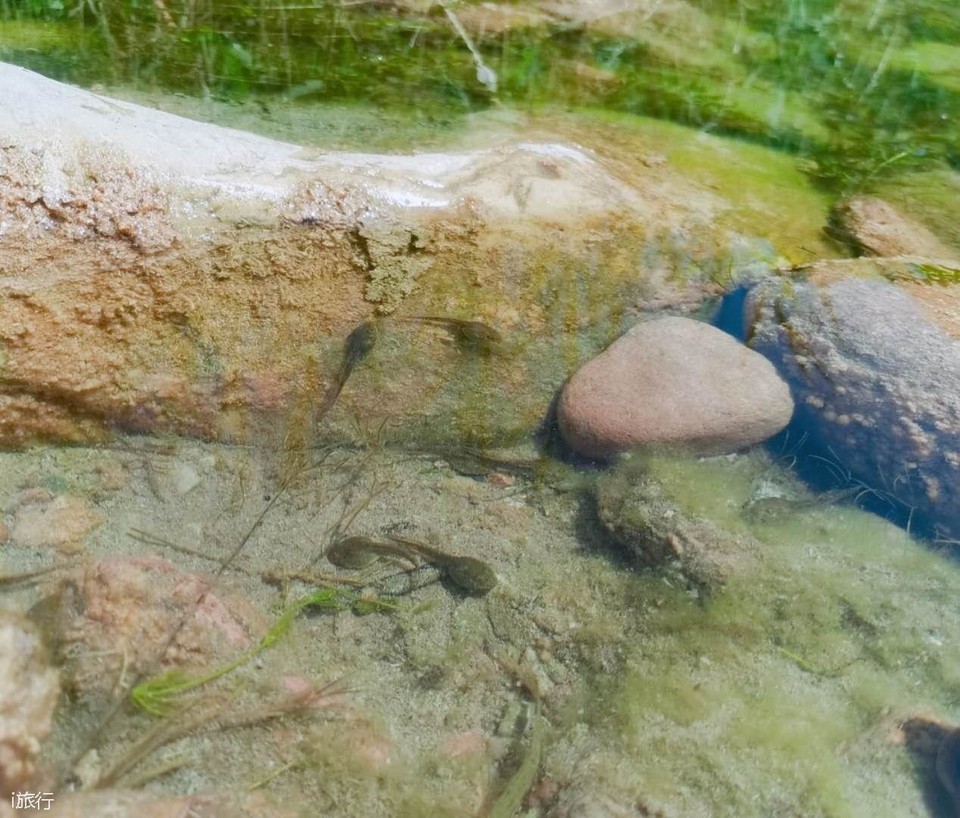 FglqOz6C_ki7ex1PjAouVdvvQz6tgJtM_rxO_uhJscNmVWpF-jj-qr7Lf8f_RjAf