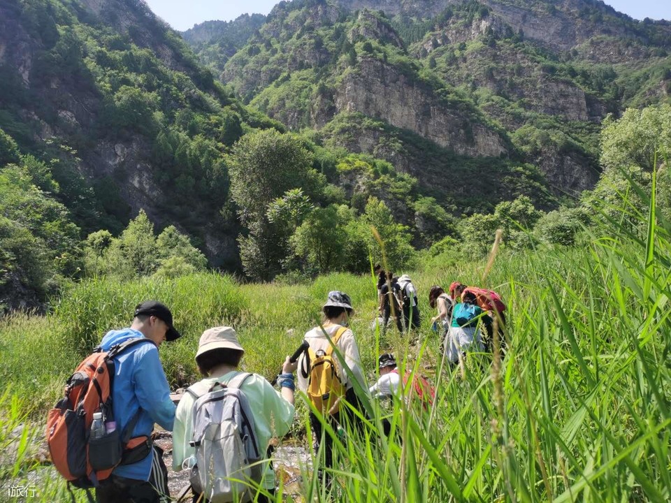 GRIDd16bJ6YM7r_hI__U0yilIao21N9MNBd6HkkPQw5_nJbGgnqDvGbEGEWFgHJo