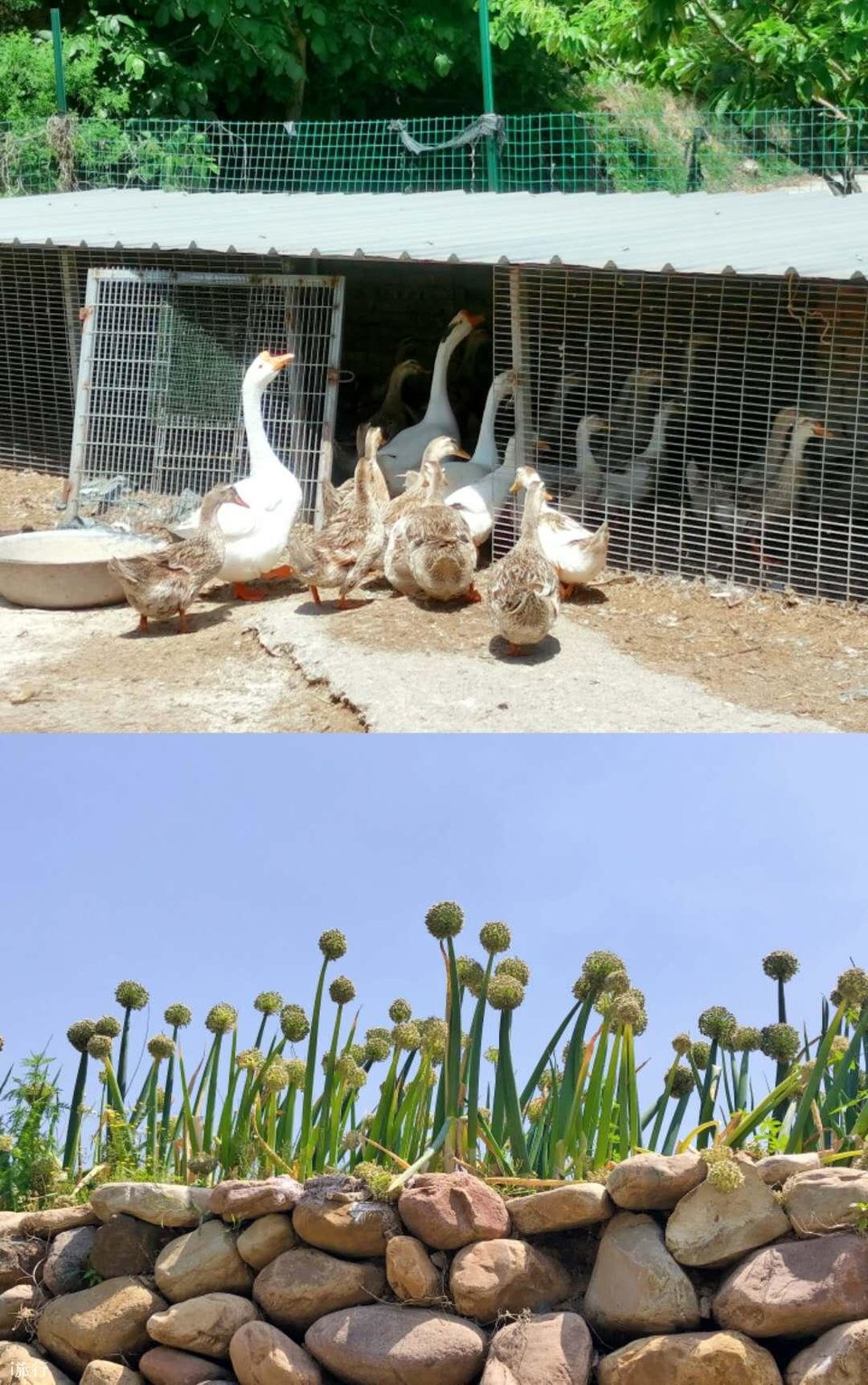 xwZ8DLk_9soKgUkMIrduSlFB-Bib1xAEbQzLcu_31CIHGftHvLsZaXjZhY8ZbKUf