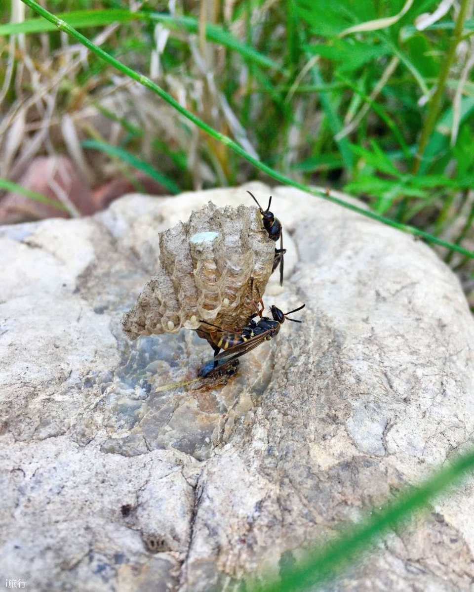 gqsO0oIzL8y7AWsGhLUIp31KFaMyxcVvkpyqedLzZqWsMHxbojt_BIgTnGK7zvKo