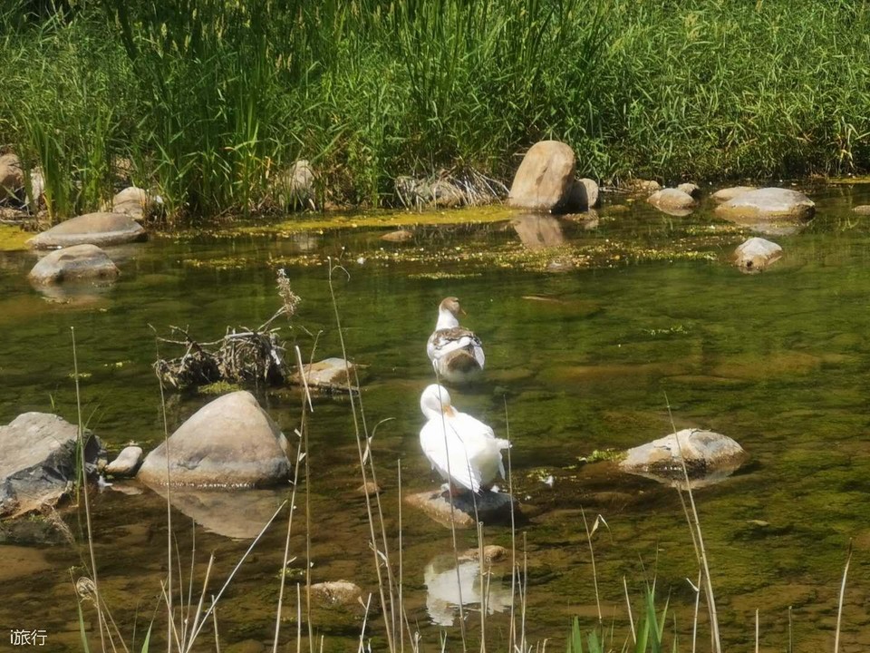 zUE1q_ykTz4s22EHBmYAe6H5URSq1EElPBpj43WWVRuzjlcCdZFh5wlwE2Xk3_mR