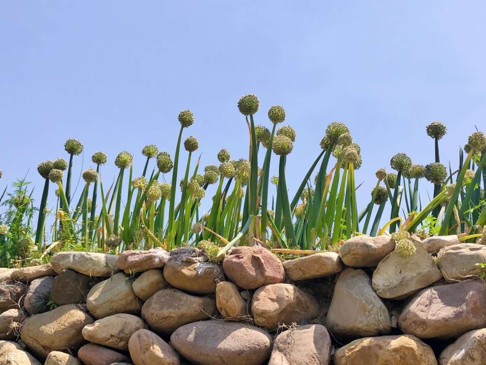 rmptf81cjNRC_YX1VglVYNkjJi5NEmeSeqlYgkncbT5VG2pwZpWHcgeJRwdFrhS7