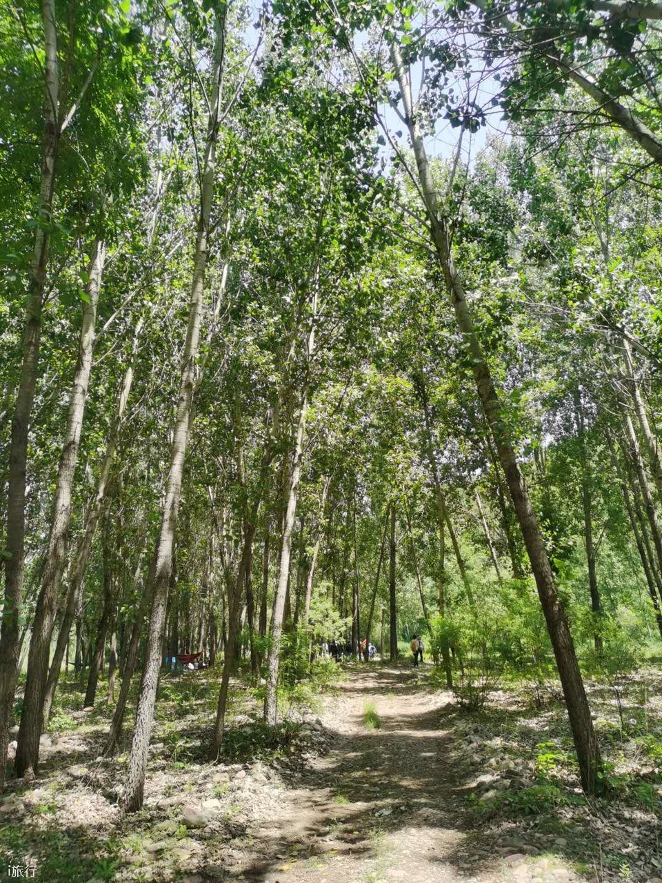 mMQTG1izvpLXZXzEu3cO6EiyvsR-Q0Ge4P6Z8JCeE43cz2EKXLfi67Ho6dqf1itC