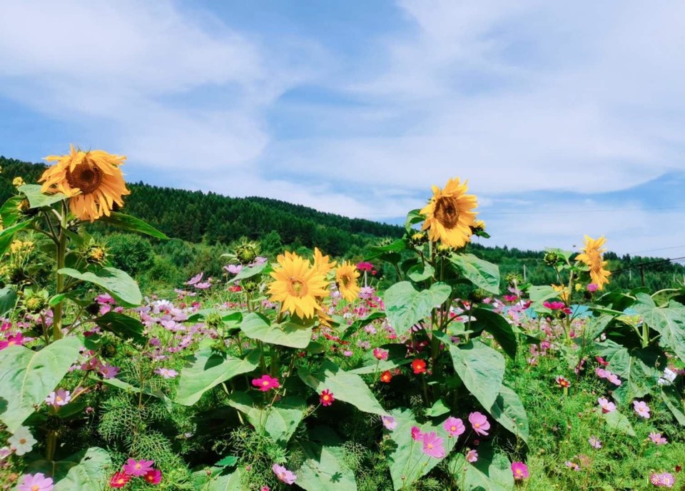 krYEcxGV2zq-wLU7NGhkLgupfuJGP8wdYFvdSS_2S_YFJb0nRO1XGR3PVnPoyry3