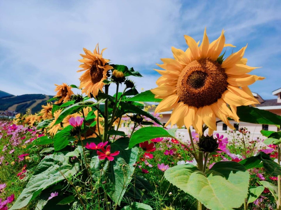 ZEPmqFOtEl9g68AgFA6HLIKhFXERkF7UDLZMEtWgPvGjy0wdAXzZv78n9SqFhP8J