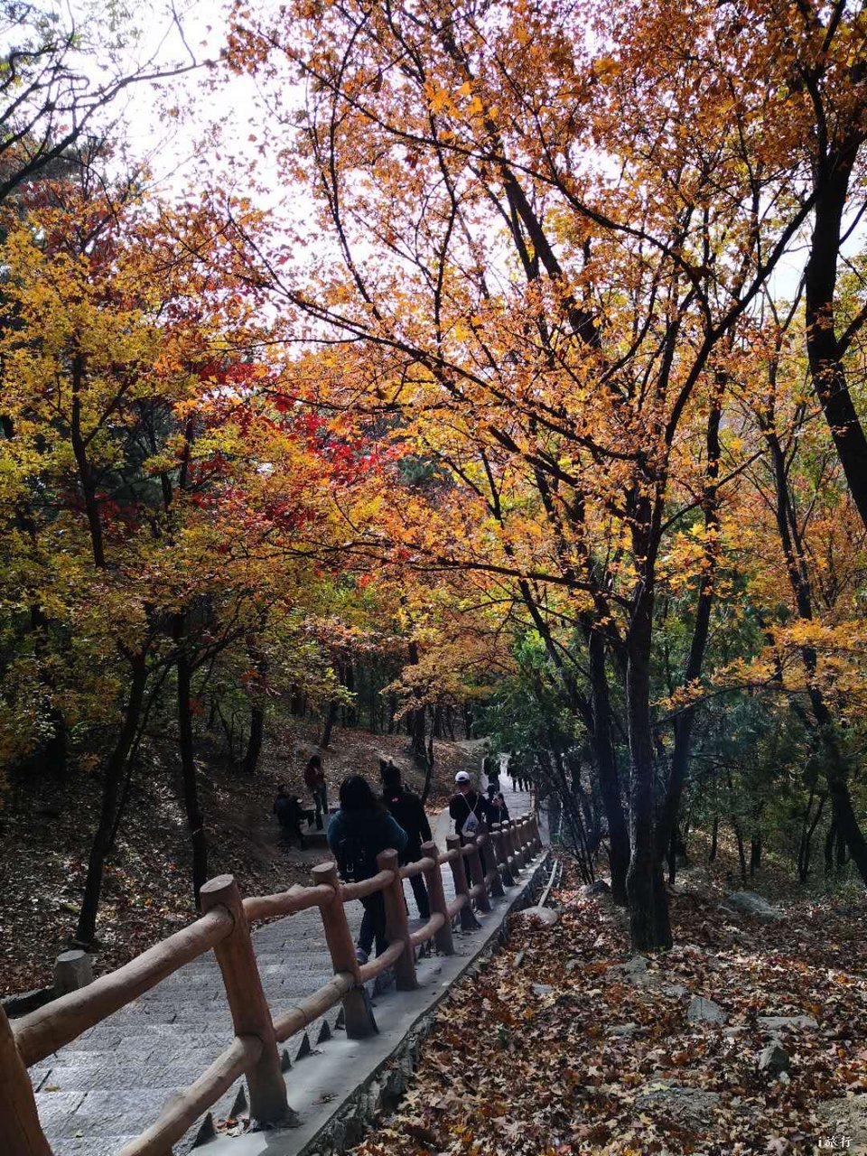 30MactsBIVGR2z_xWsDrMFzk91Z4cfvUZPwArK3VO2PhfzfHvdweL9fT-wGdYPbk