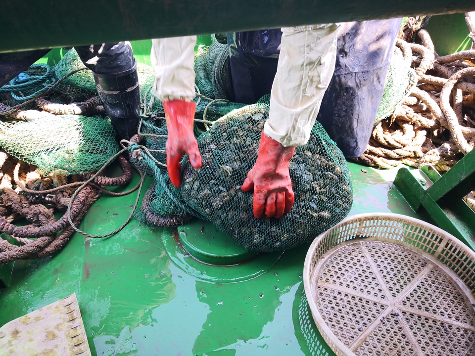 ctZgRAf4JljIruhT1HsaU7EP7r1MCUqJQY9hWobJYqHU0RyR0gjDXG5BbQeXTUYp