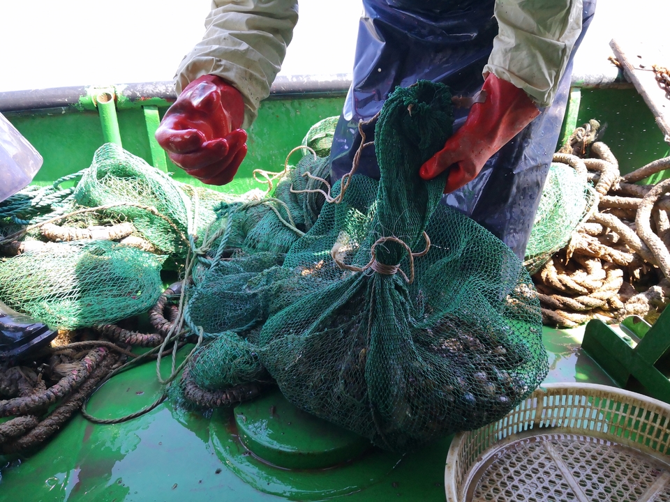 Kt_yWB2bKkkiWYraGQ0WnZAn0PwOfJFfpRfjxNbO3bcrBABIoH_zpoKhWyUSxH38