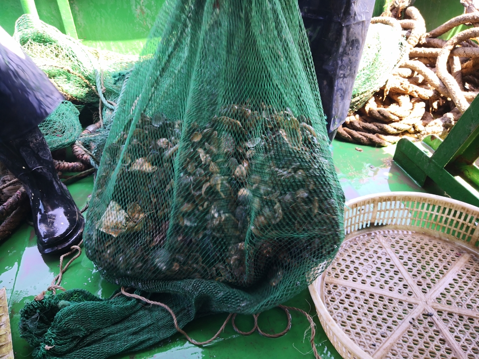 rxmHTjn3QeNy0ujqZWgKSBPLrXMZObPl9TMbje7IaRcmNw2JON6z8JrXv-9puqsb