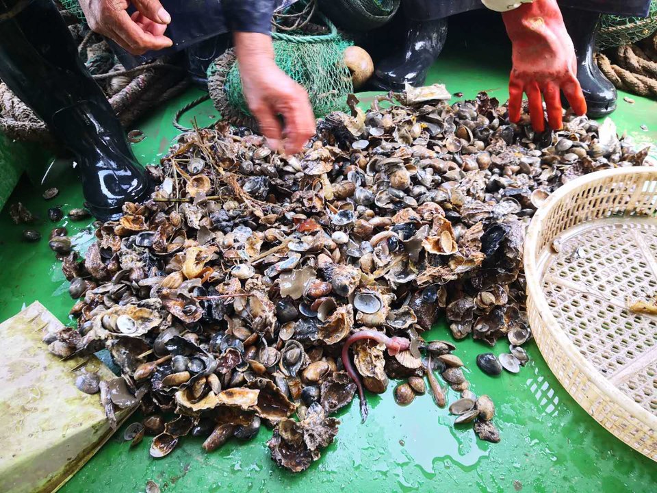 F2olMvOuJiRbY26XWfV2dIt3vanr8nR-1GoNsU9LwHvzg62CVz6aPdEEleqW2VpS