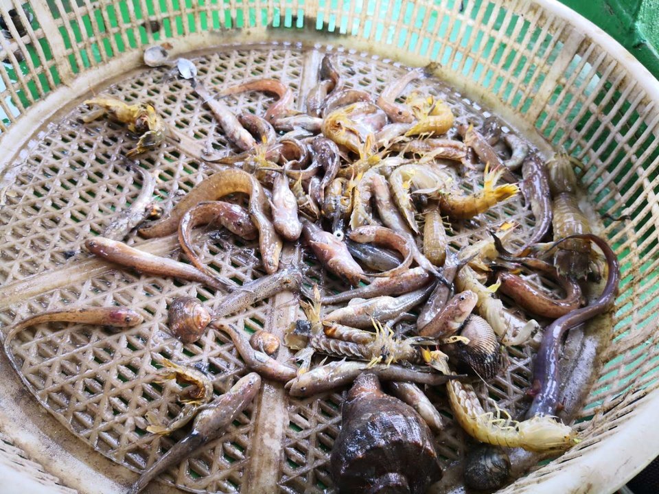 e9iDD3HPanppctCDsxjayB3t5CB57uP7xjnmM4eJHJrUHLmaZNaJ4Oh04tSVly6K