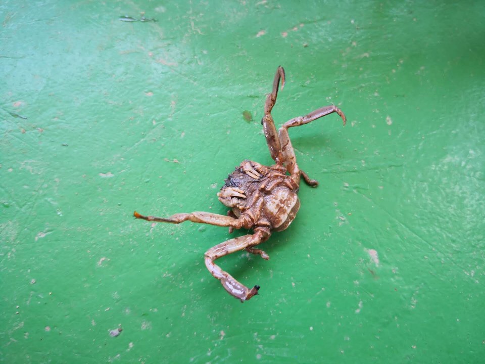 lkNpVe8CFyK1JjywhQw-05idz20f5Sp4q7Z0vP9Vkqfut0HwH5SdOt8IgfB_mQcP