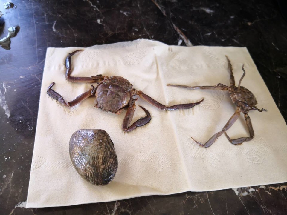 pGdfHqD52yhUgHh6UVBEw9ZWNWkHOXd1dd479v7wWB_fNt1tbDoCjkmmiLYwbBAU