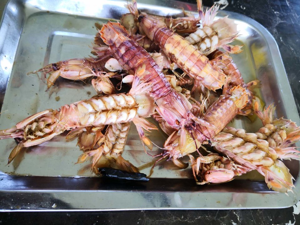 kwXIZ_n9D-2n-Vm3ZgeSUyvkbBFM44TRpW88pDeyYZPLyKt0PTYb-fwo1hYY8iBL