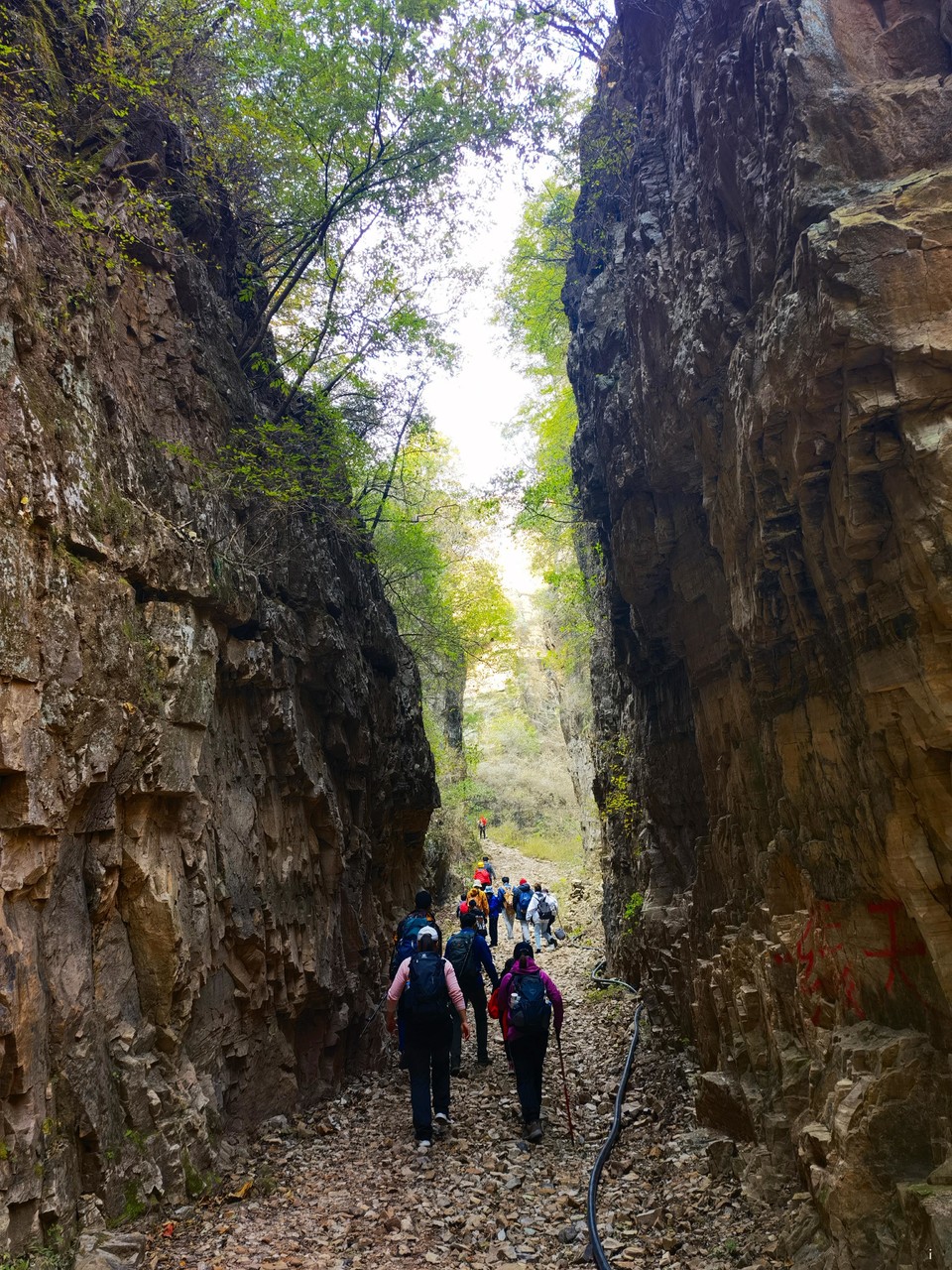 HFf9DcnM8q-D06_8C-WEN2udxwxdOeC8hvuFQL04ZL0gsEsIp9RrYtZoJCojMStx