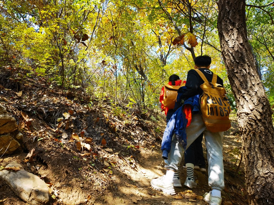 HFf9DcnM8q-D06_8C-WEN9LZMOof0jBbVnoUPTeFFUFqNZ8_RaKTPqCoBQMGCdyF