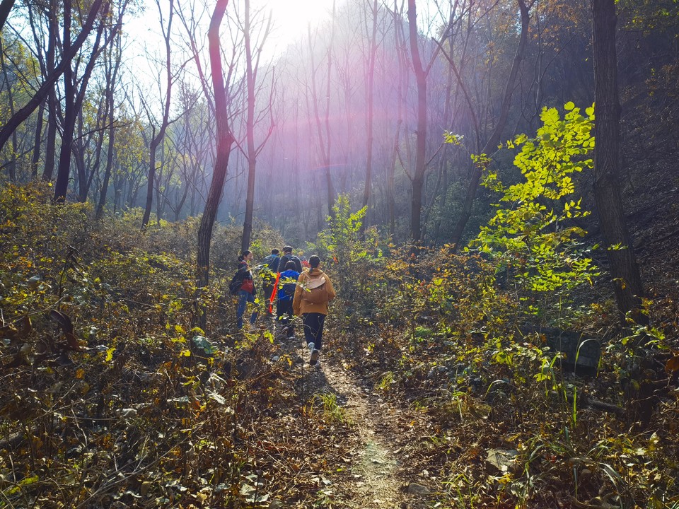 HFf9DcnM8q-D06_8C-WENw5foqhn55oEaqamJSVDwrm7LvOJzwFwbzS2YmNvcR6a