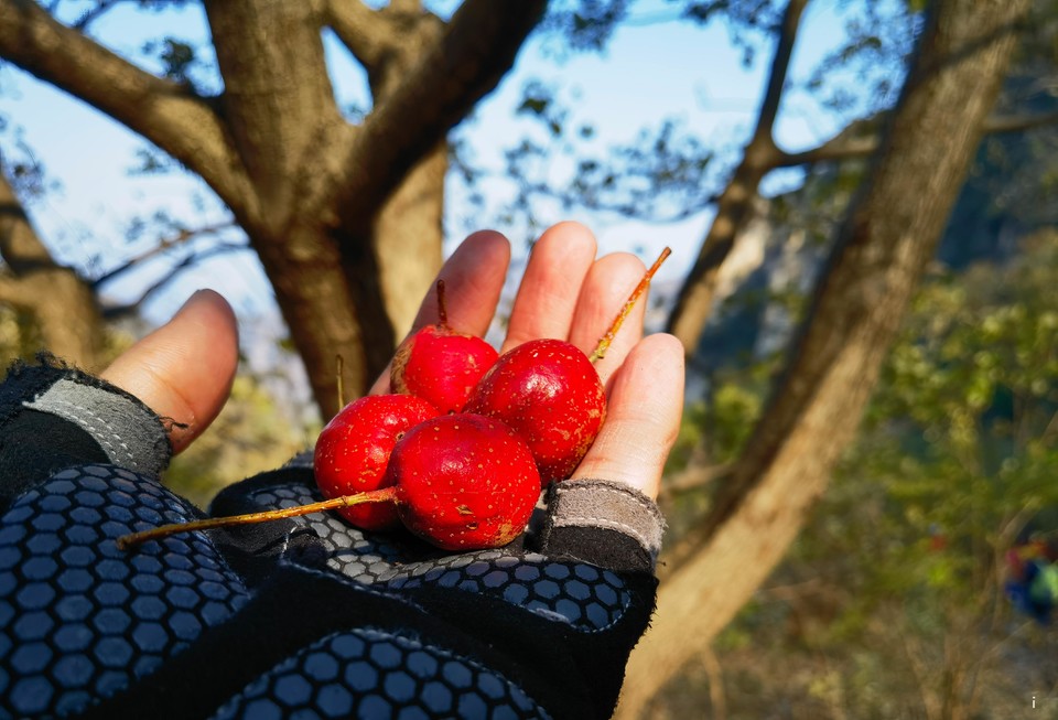 HFf9DcnM8q-D06_8C-WEN9lt1QZtj7xYNRuQQmq-rsXijIL-6r4tE75UfsdB11Js