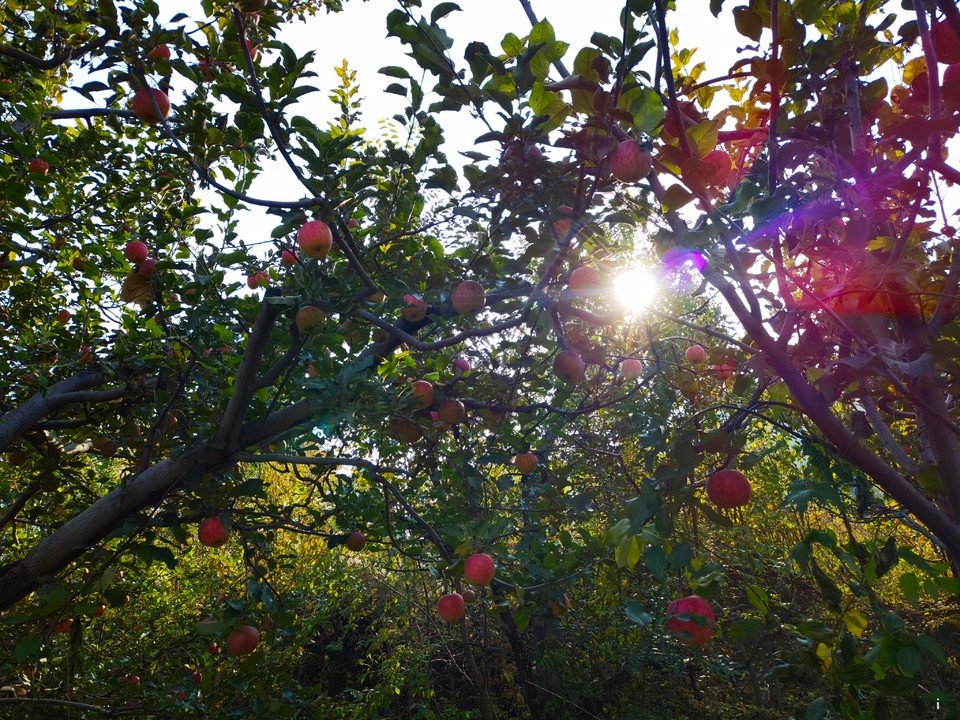 HFf9DcnM8q-D06_8C-WEN2DRjfi3LYfUpBCyv1aowaLRNnrigTmPtk43nUjfH0ao