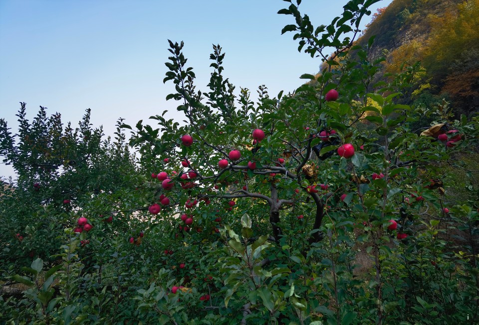 HFf9DcnM8q-D06_8C-WEN28KW--kKKIb7GXASz_8gEb2ki6_nhF6zaXUANy_YcQW